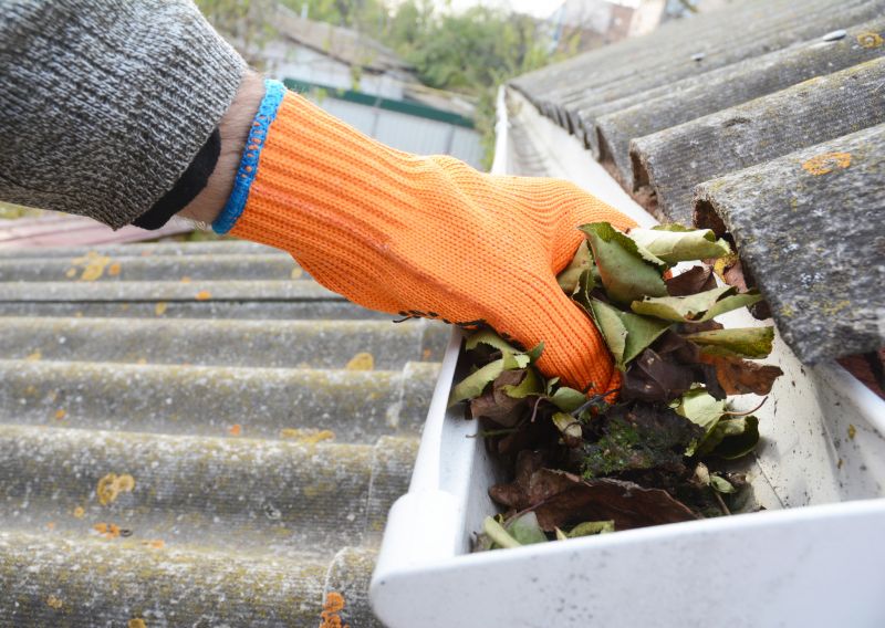 Gutter Pine Needle Removal in Baltimore, MD