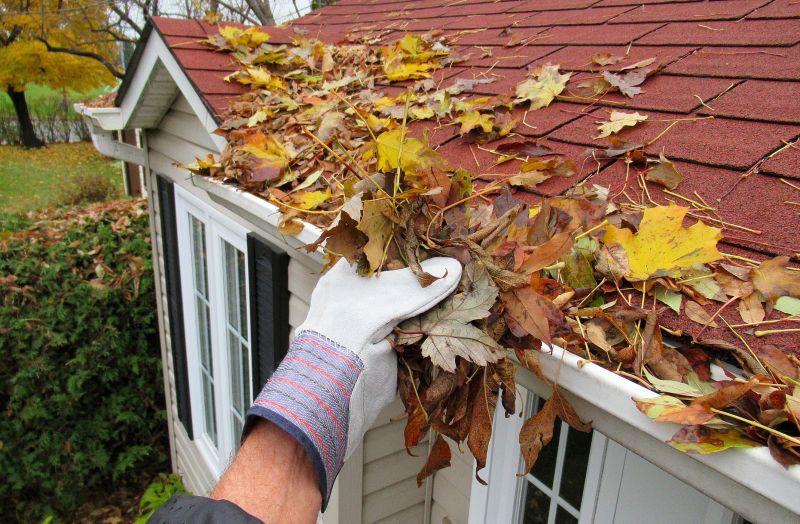 Roof Gutter Cleaning in Fredericksburg, VA