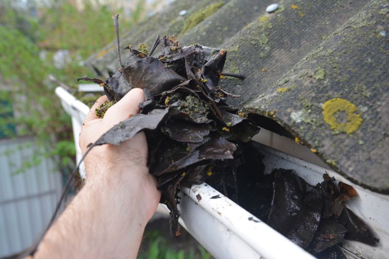 Roof Gutter Cleaning in Baltimore, MD